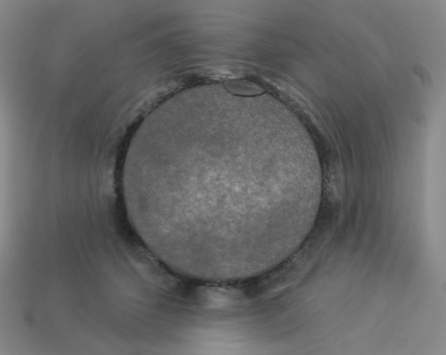 X0000113300512200910131050