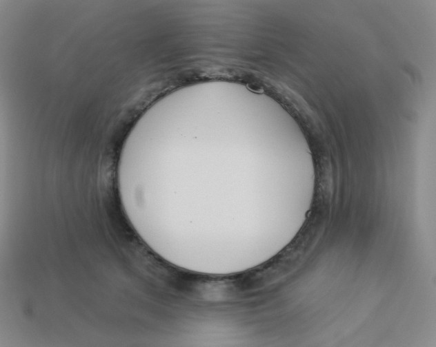 X0000113300513200910131050