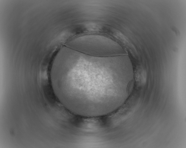 X0000113300516200910131050