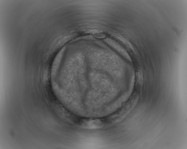 X0000113300517200910131050