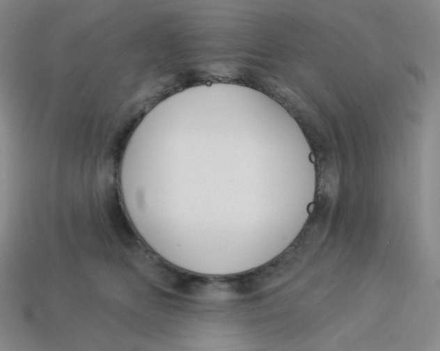 X0000113300518200910131050