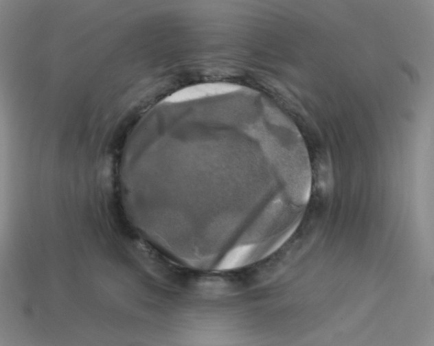 X0000113300519200910131050