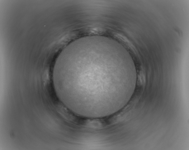 X0000113300520200910131050