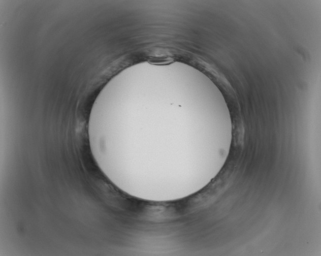 X0000113300521200910131050