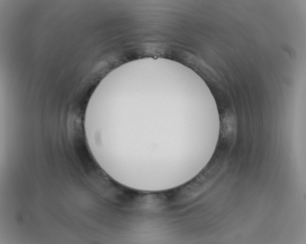 X0000113300522200910131050
