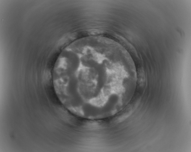 X0000113300523200910131050