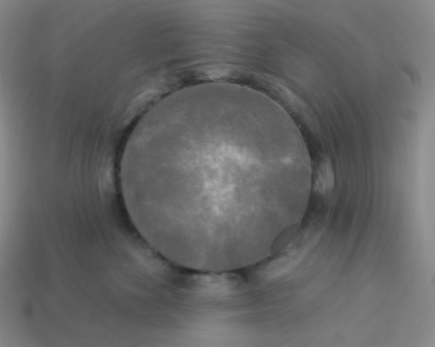 X0000113300524200910131050
