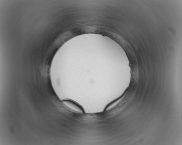 X0000113300525200910131050