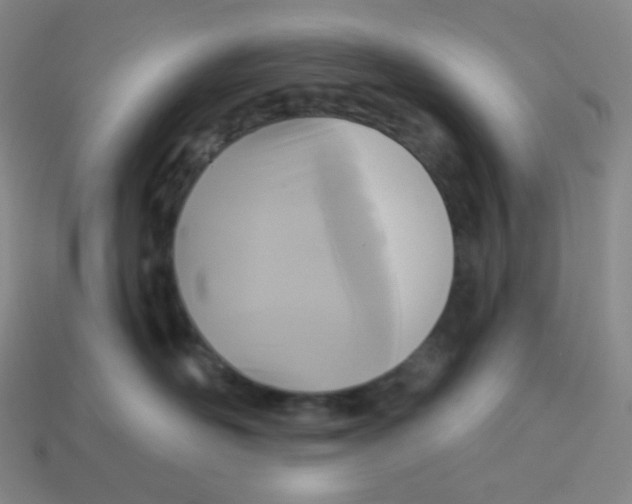 X0000113300526200910131050