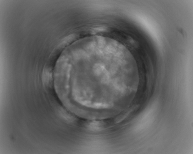 X0000113300527200910131050