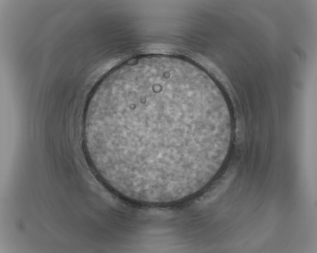 X0000113300529200910131049