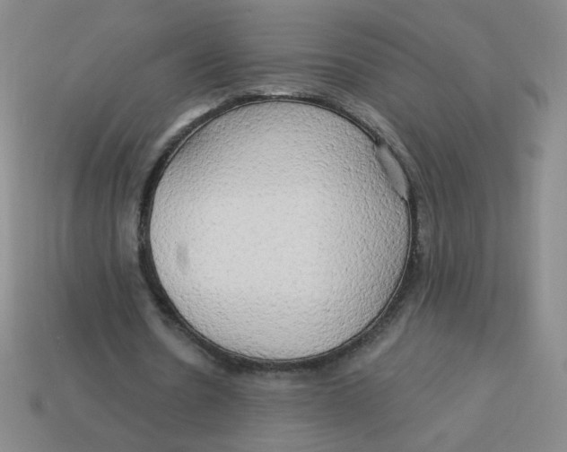 X0000113300530200910131049