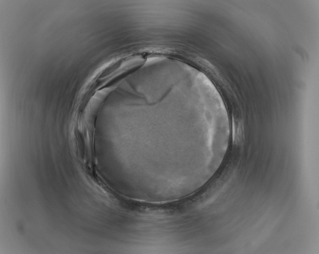X0000113300531200910131049