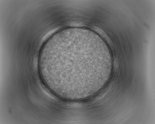 X0000113300533200910131049