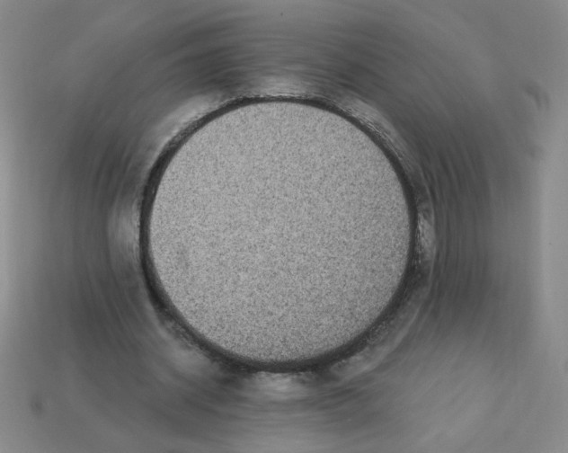 X0000113300534200910131049