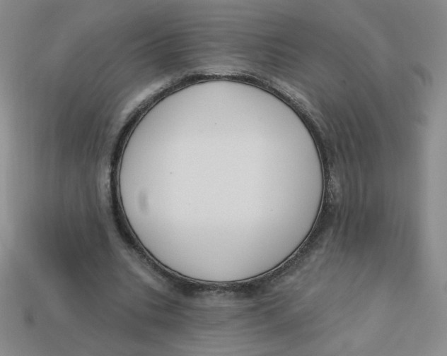 X0000113300535200910131049