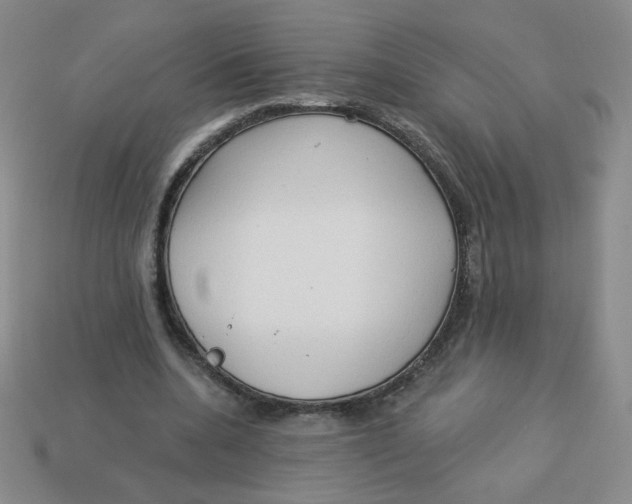 X0000113300536200910131049