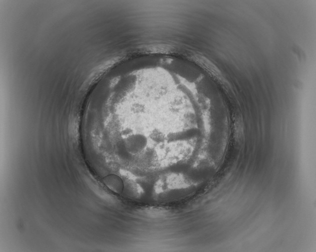 X0000113300537200910131049