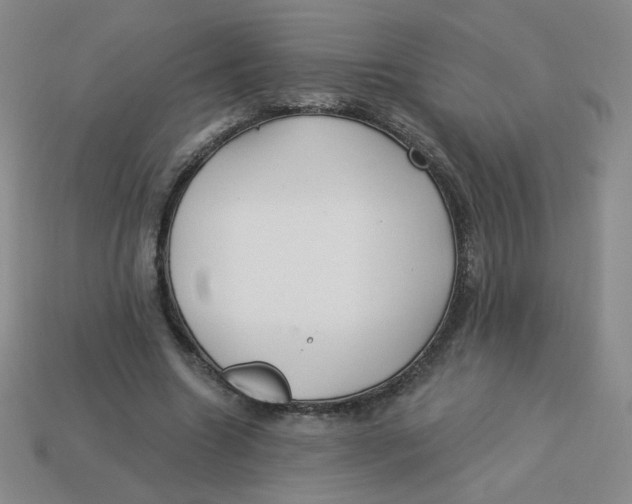 X0000113300538200910131049