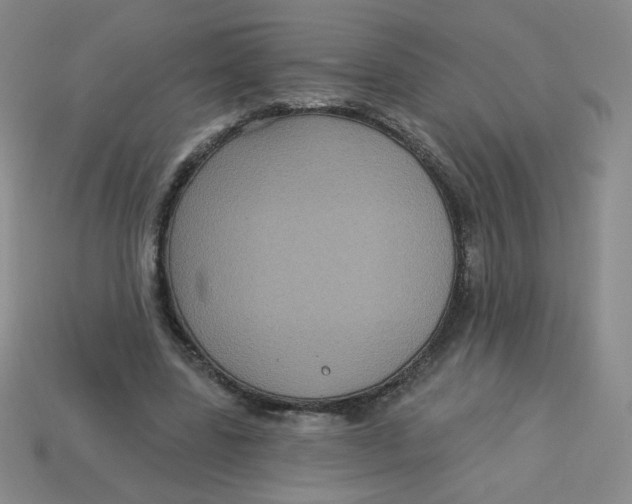 X0000113300539200910131049