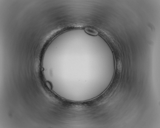 X0000113300540200910131049