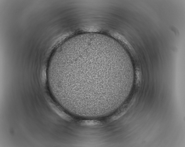 X0000113300541200910131049