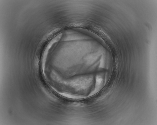 X0000113300542200910131049