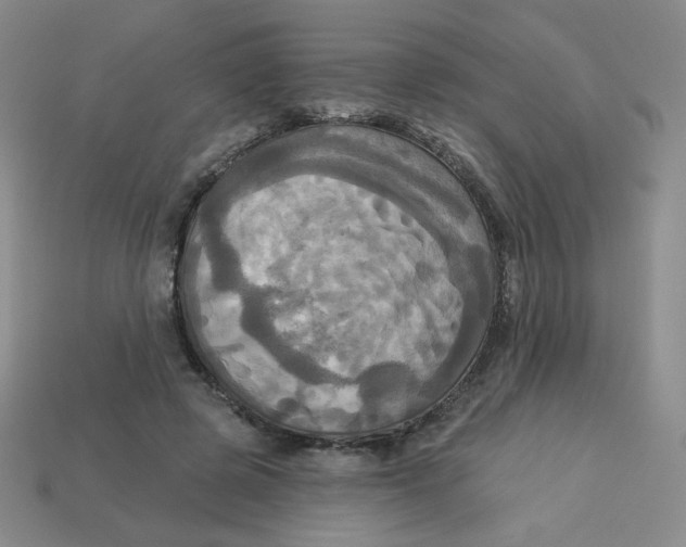 X0000113300545200910131049