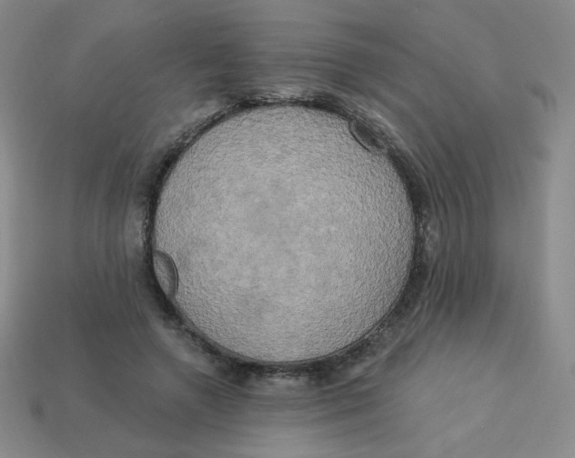 X0000113300546200910131049