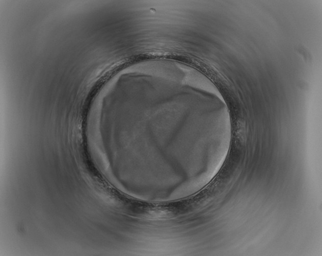 X0000113300547200910131049