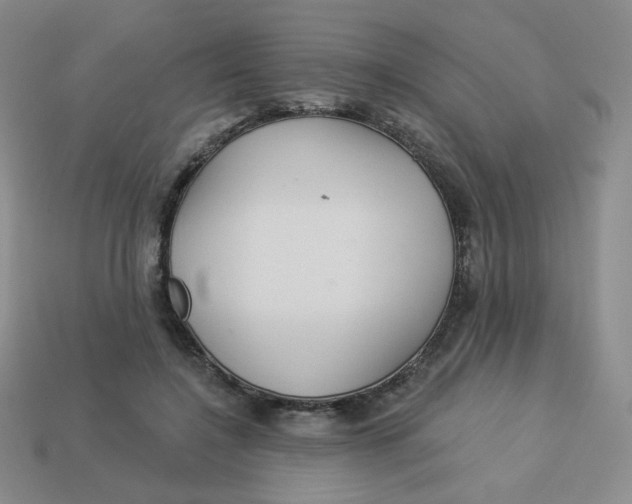 X0000113300548200910131049