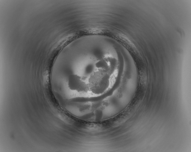 X0000113300549200910131049