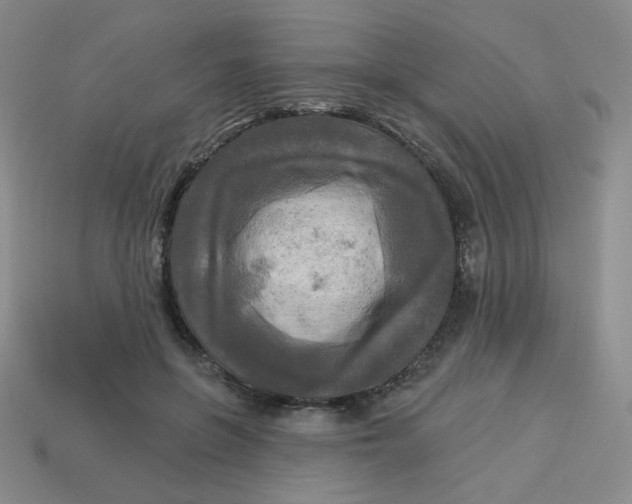 X0000113300551200910131049