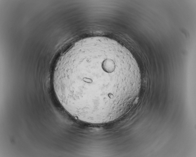 X0000113300552200910131049