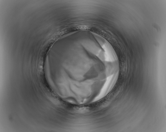 X0000113300553200910131049