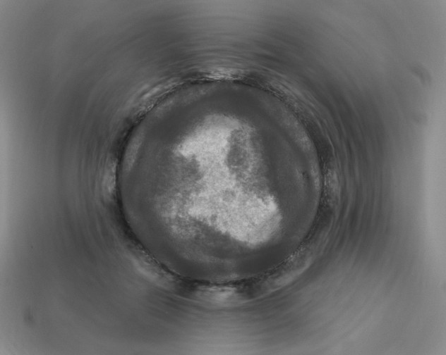 X0000113300554200910131049