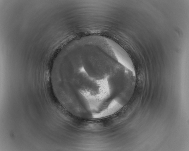 X0000113300555200910131049