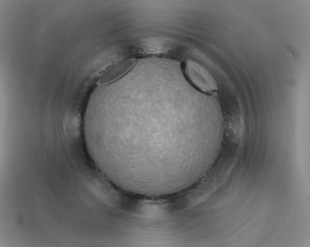 X0000113300556200910131049