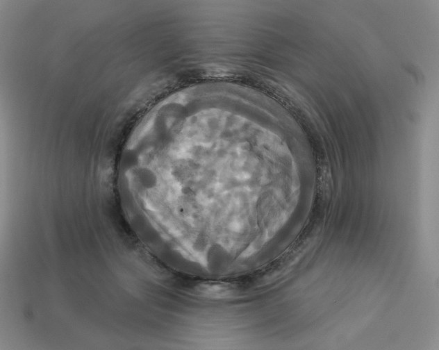 X0000113300557200910131049