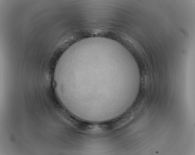 X0000113300558200910131049