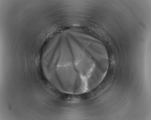 X0000113300559200910131049