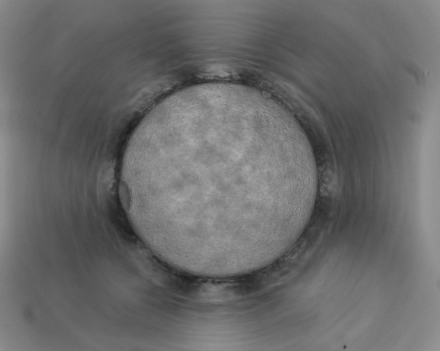 X0000113300560200910131049