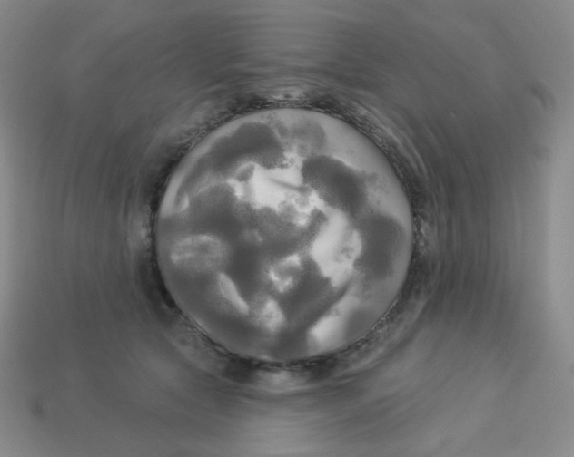 X0000113300561200910131049