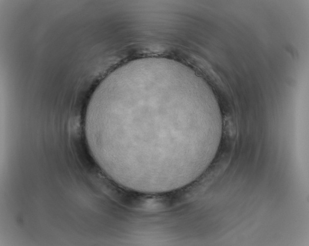 X0000113300564200910131049