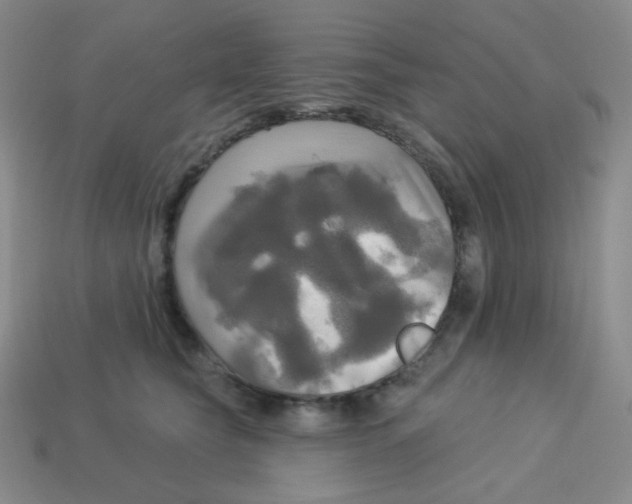X0000113300565200910131050