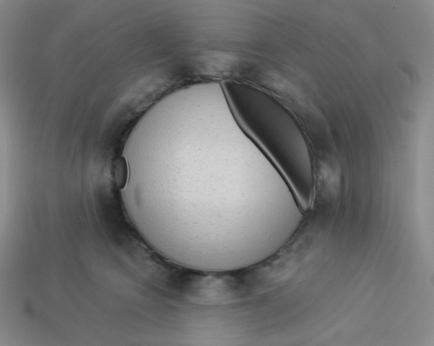 X0000113300566200910131050