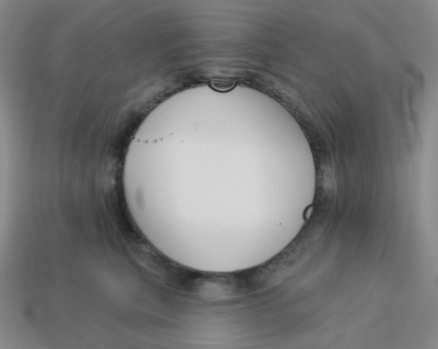 X0000113300567200910131050