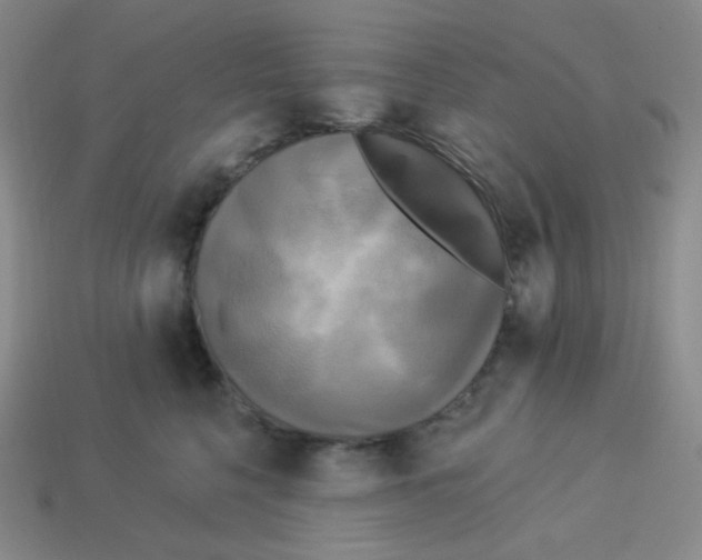 X0000113300568200910131050