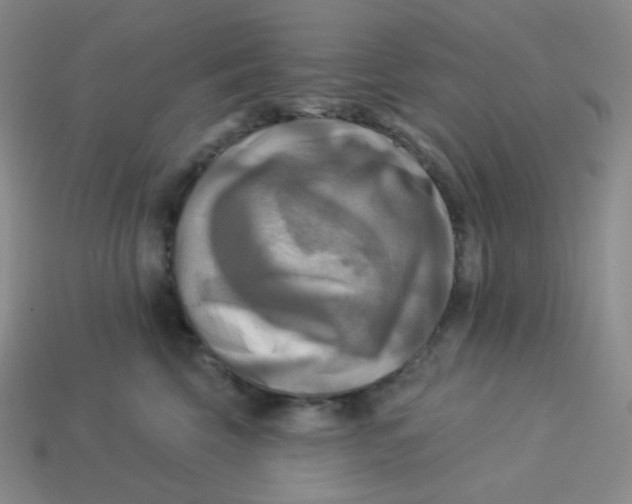 X0000113300569200910131050