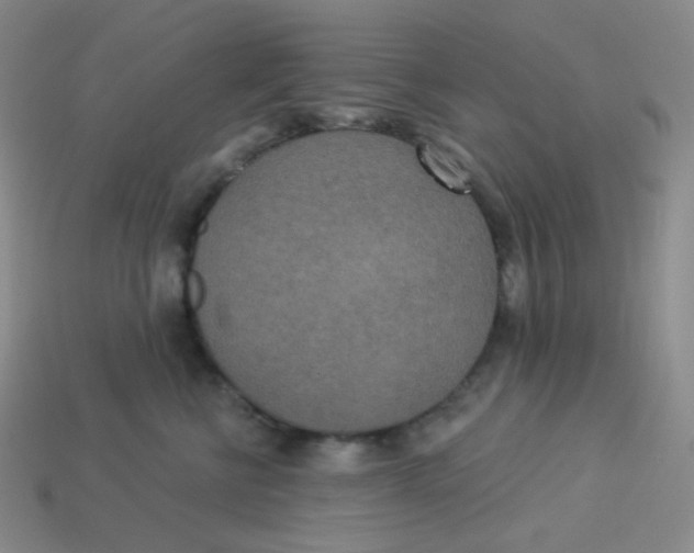 X0000113300570200910131050